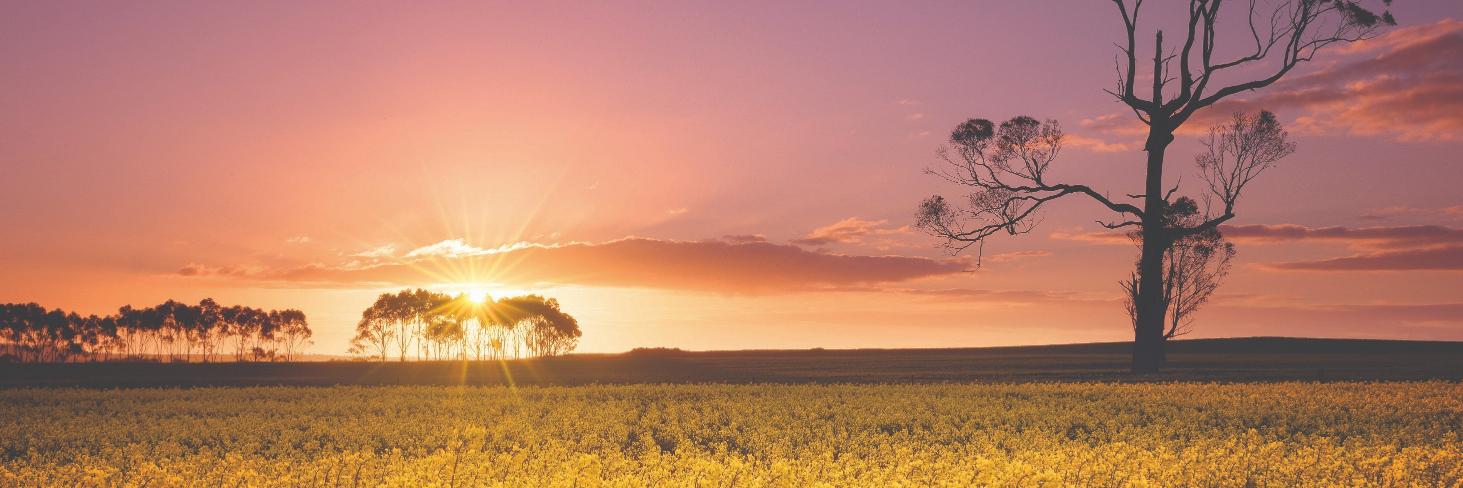 Corangamite Shire banner