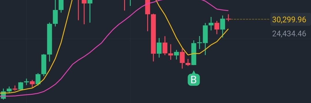 我不是巨鲸🐳 banner