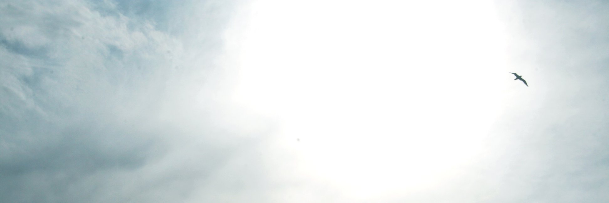ozgurcimens's profile banner image