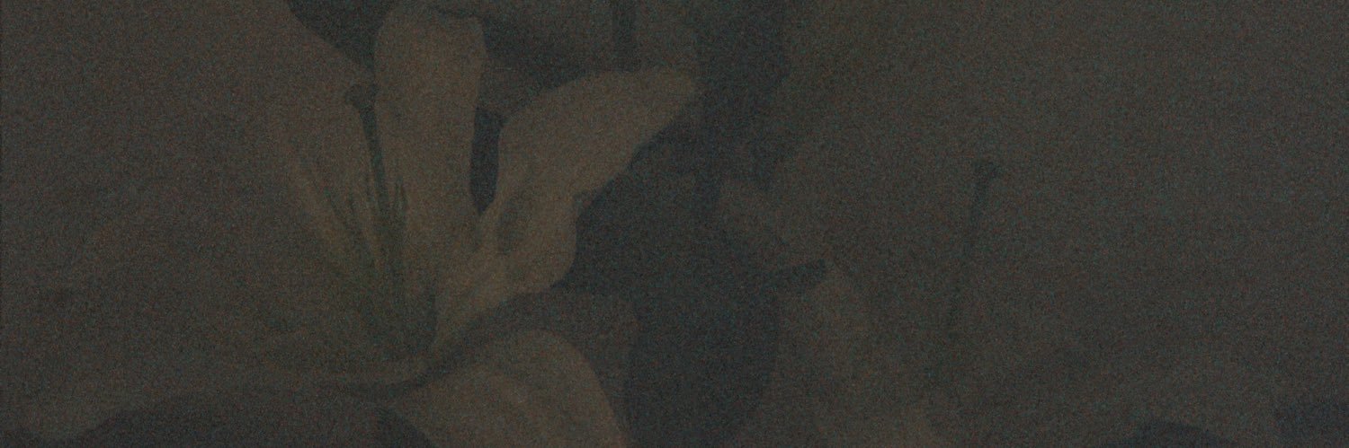 aandreanaline's profile banner image