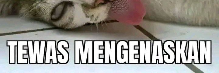 Fang banner
