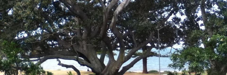 Minbani's profile banner image