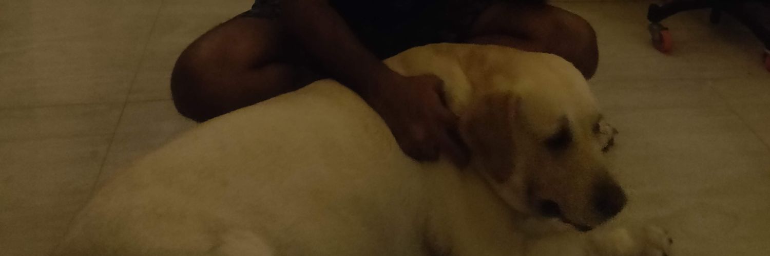 bojackforoscar's profile banner image