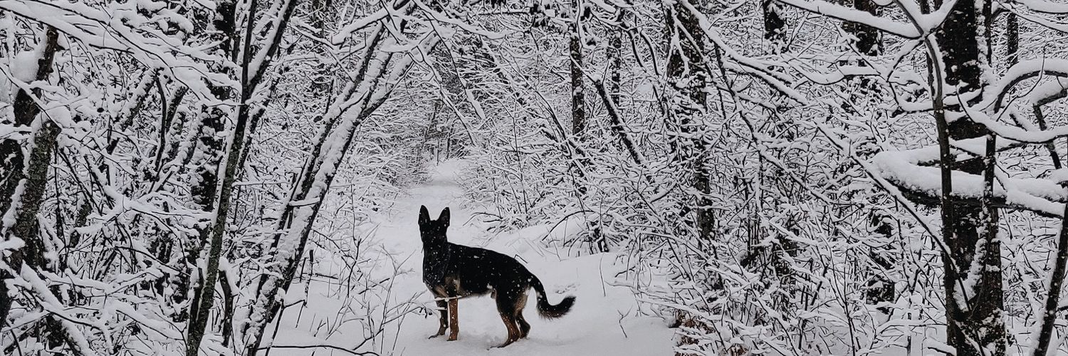 s_macrury's profile banner image