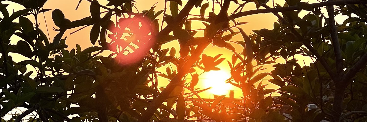 andigo_05's profile banner image