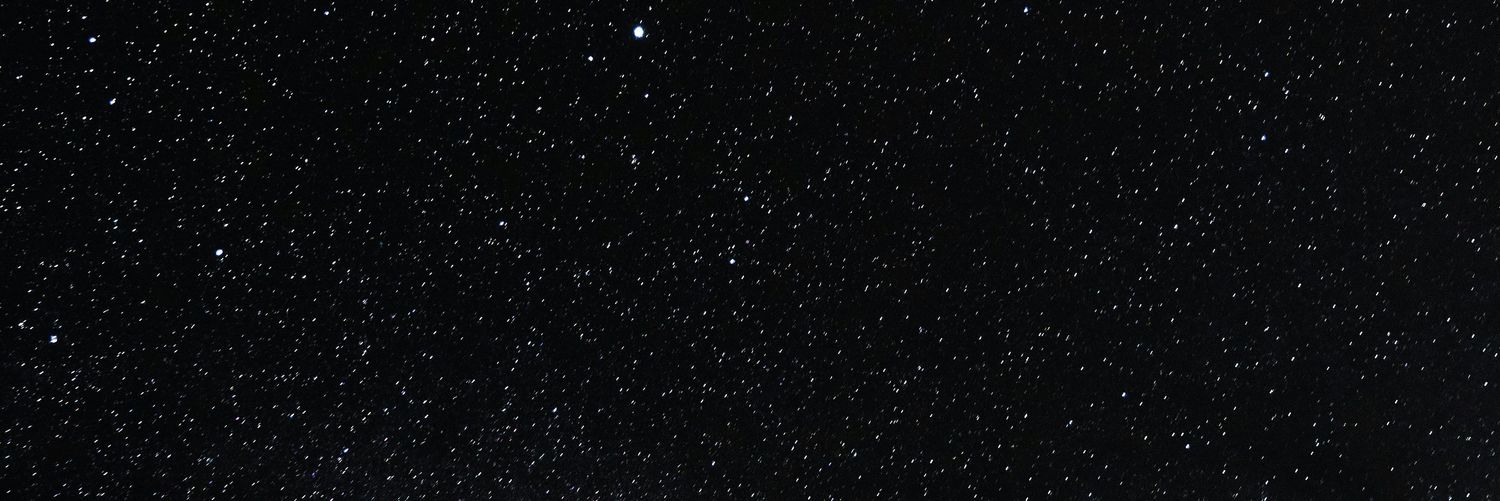 🐻‍❄️ banner