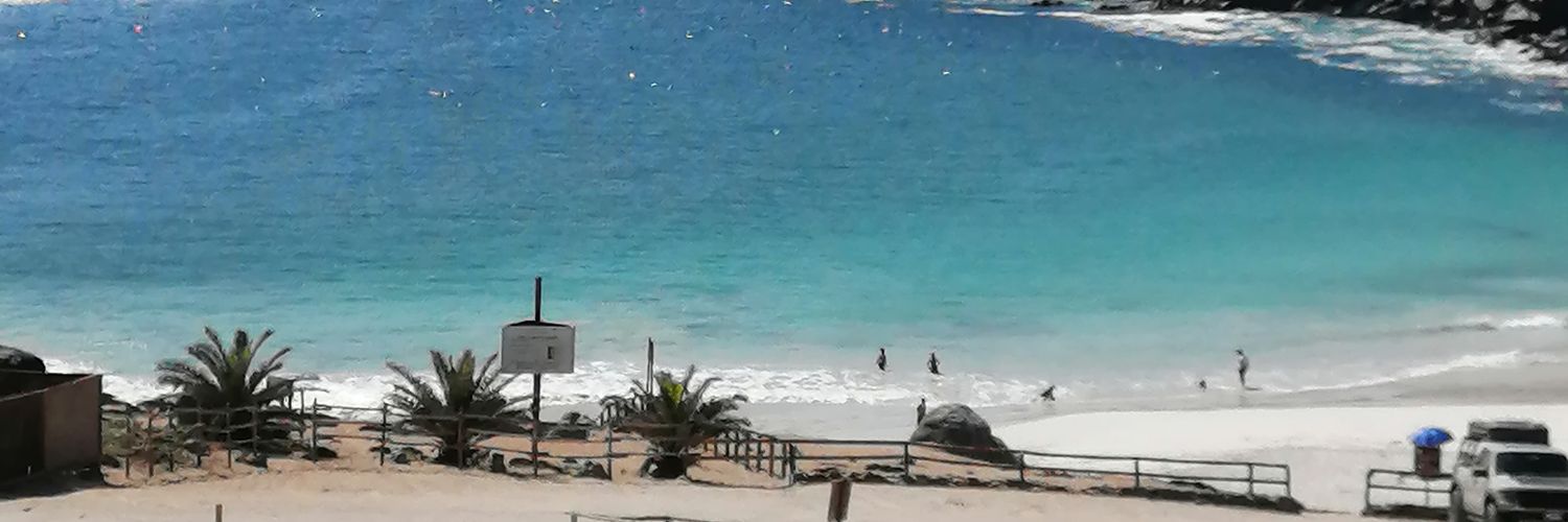 Maca Gonza 1601 banner