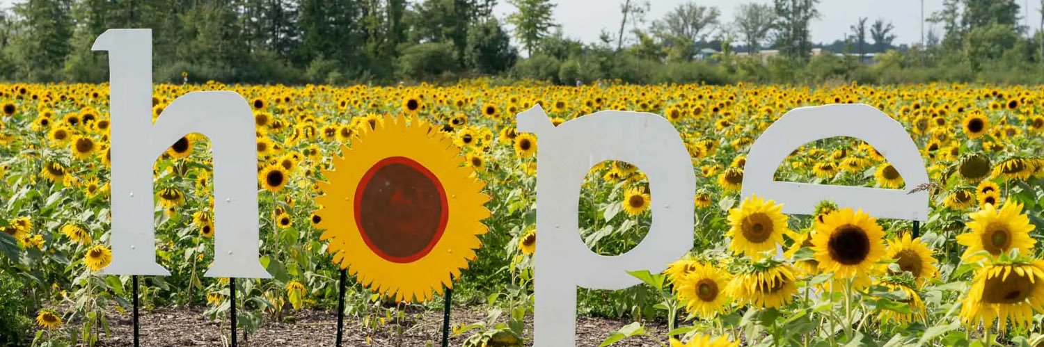 paynt ☮️✌️ banner