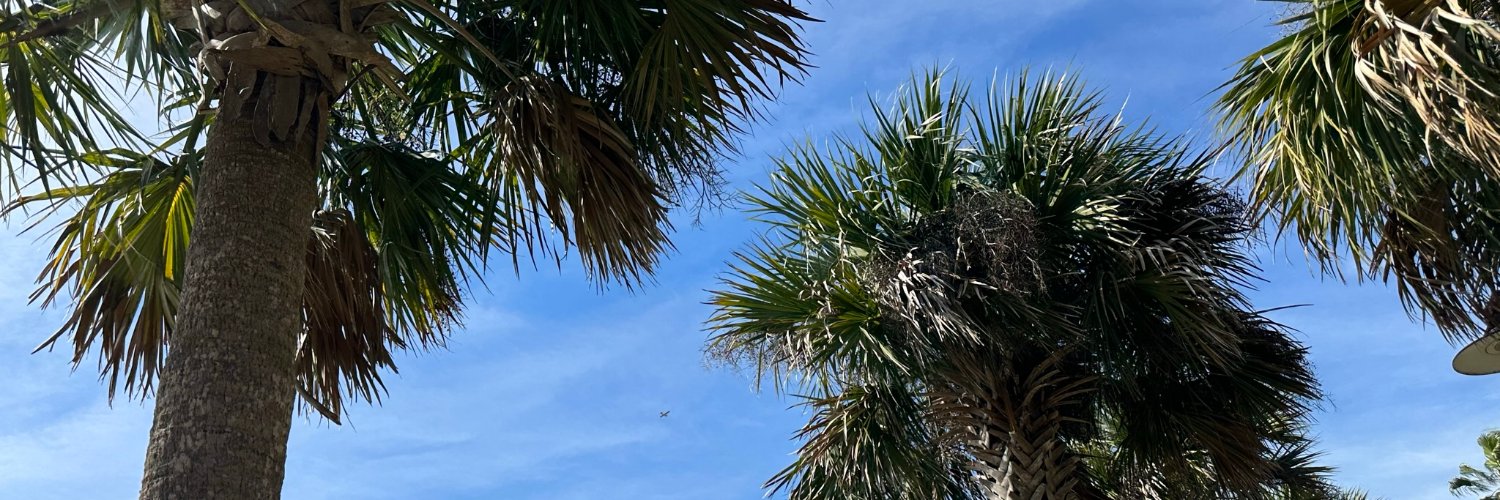 seangum's profile banner image