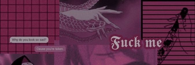 nicollerebaldi's profile banner image