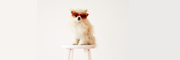 LuckyMagazine Profile Banner