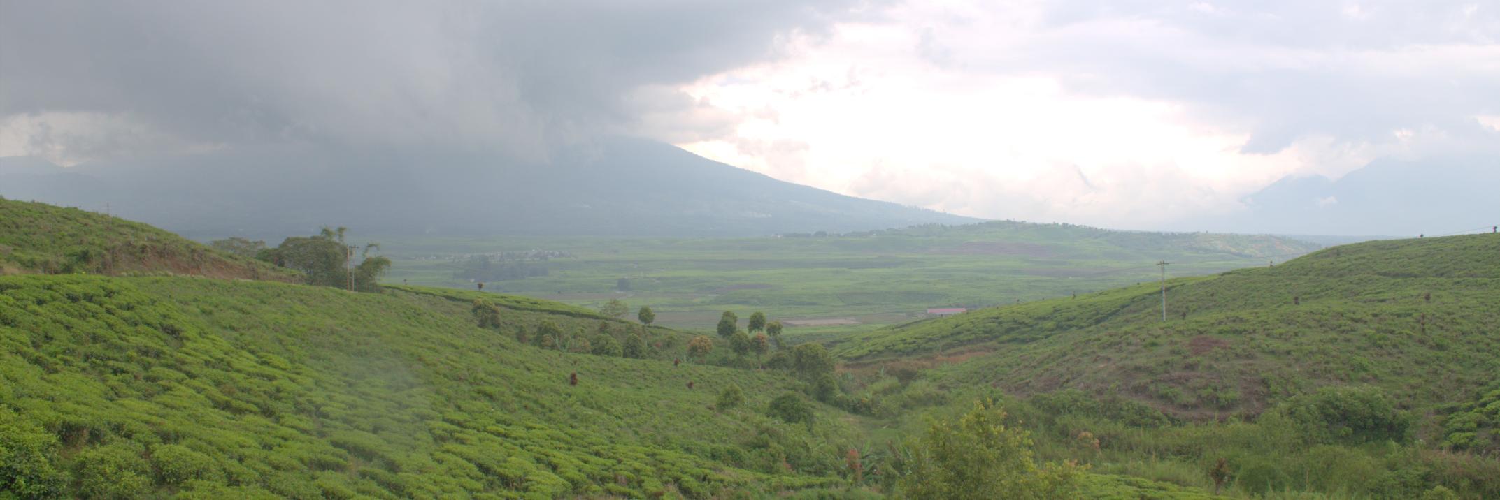 divo_anugrah's profile banner image