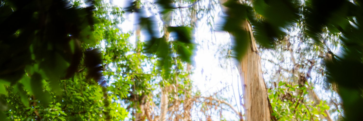 Adam Schmieder banner