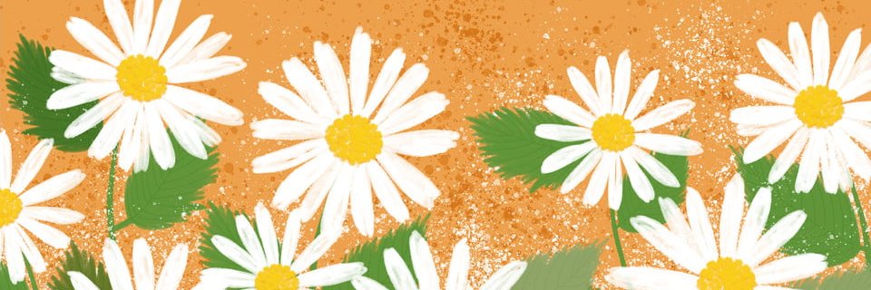 Miaaoki_'s profile banner image