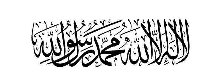 علي نجم banner
