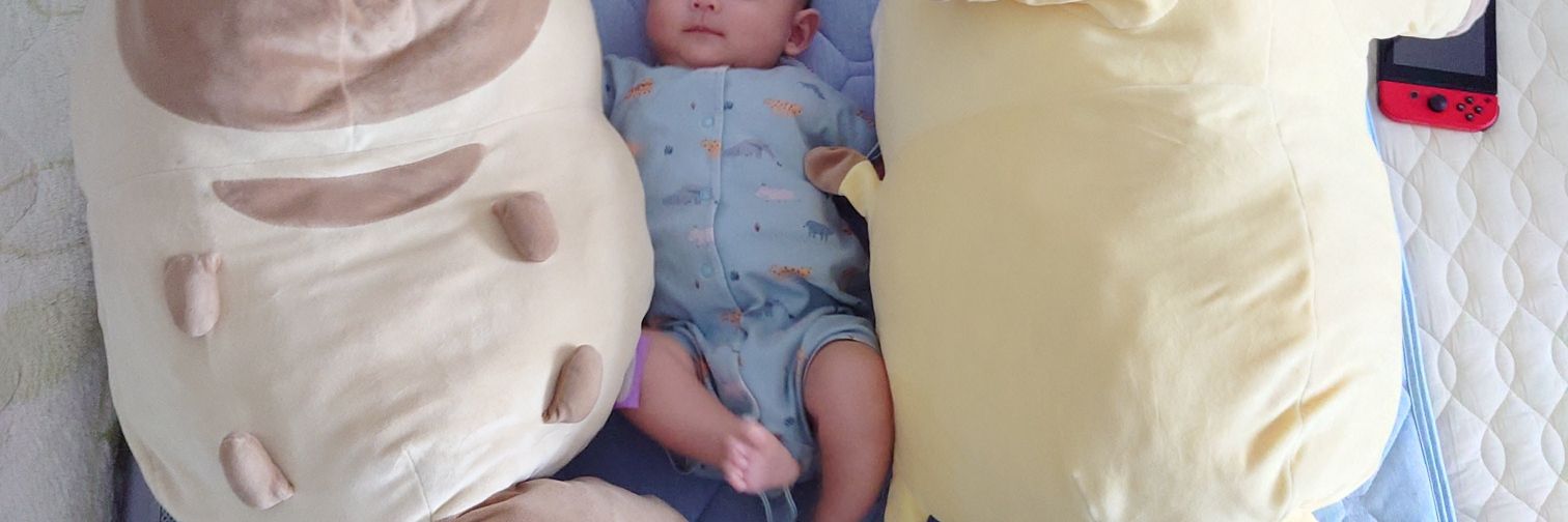 ひなこ(R5.3息子🦈) banner