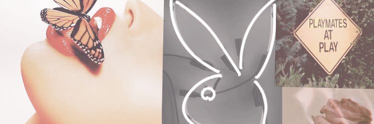 _marykate23's profile banner image