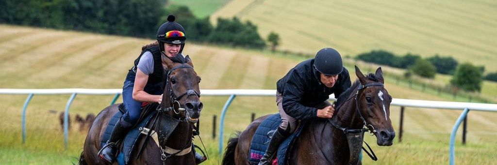 Tim Hailstone banner