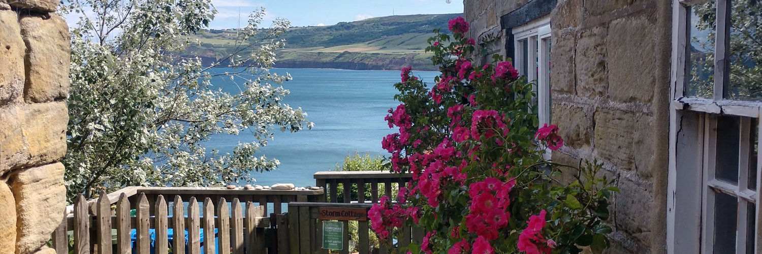 Dr. Amanda M. Nichols banner