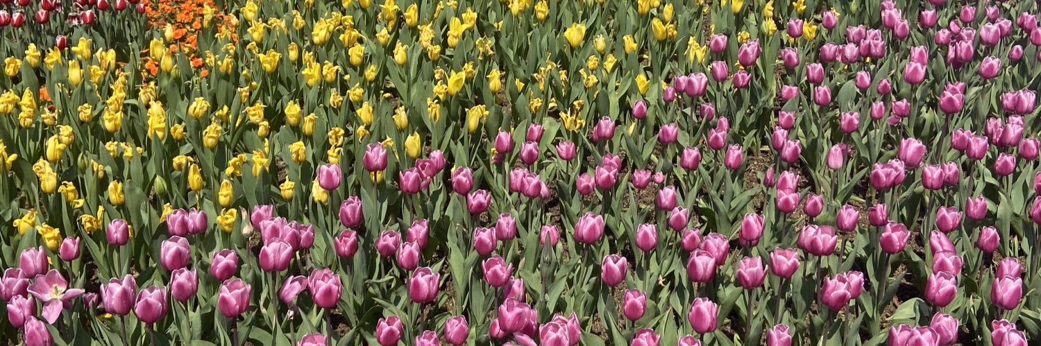 ♡ banner