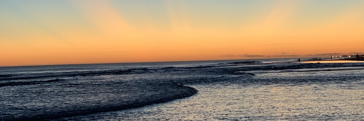 chiarawik's profile banner image