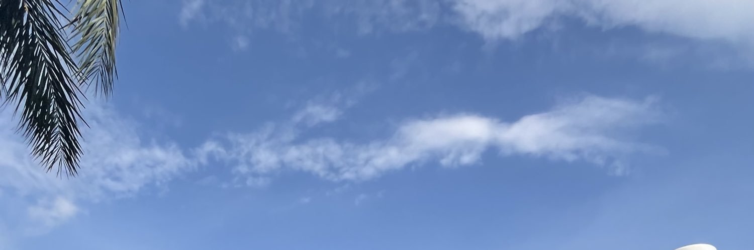 arfanimisa's profile banner image