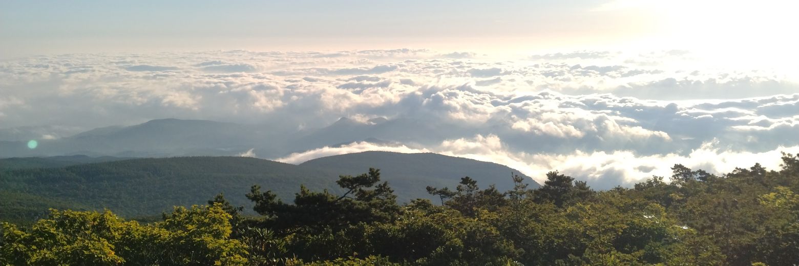 t.unuma(鵜沼巧) banner