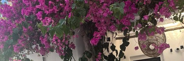 doreshsilva1 Profile Banner