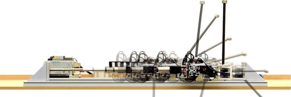 carlo_sferrazza Profile Banner