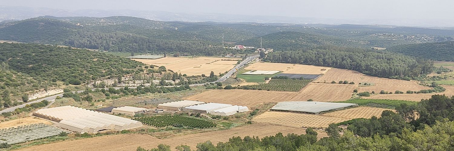 Ben Tzion Macales's banner