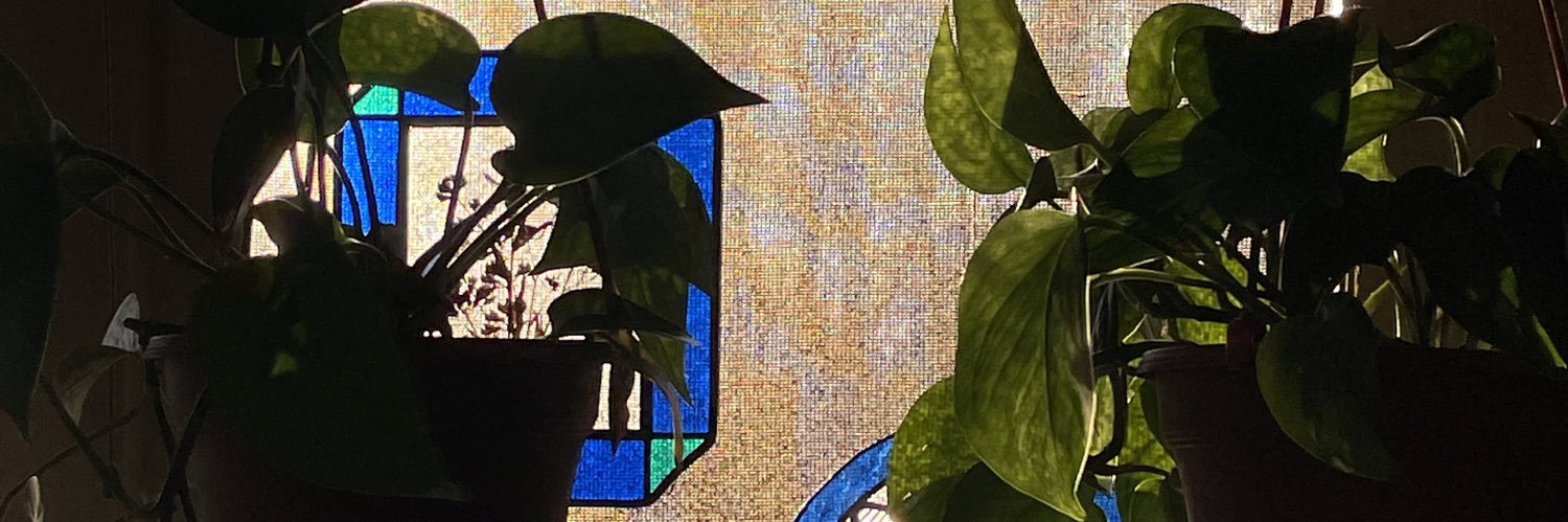 molbeann's profile banner image