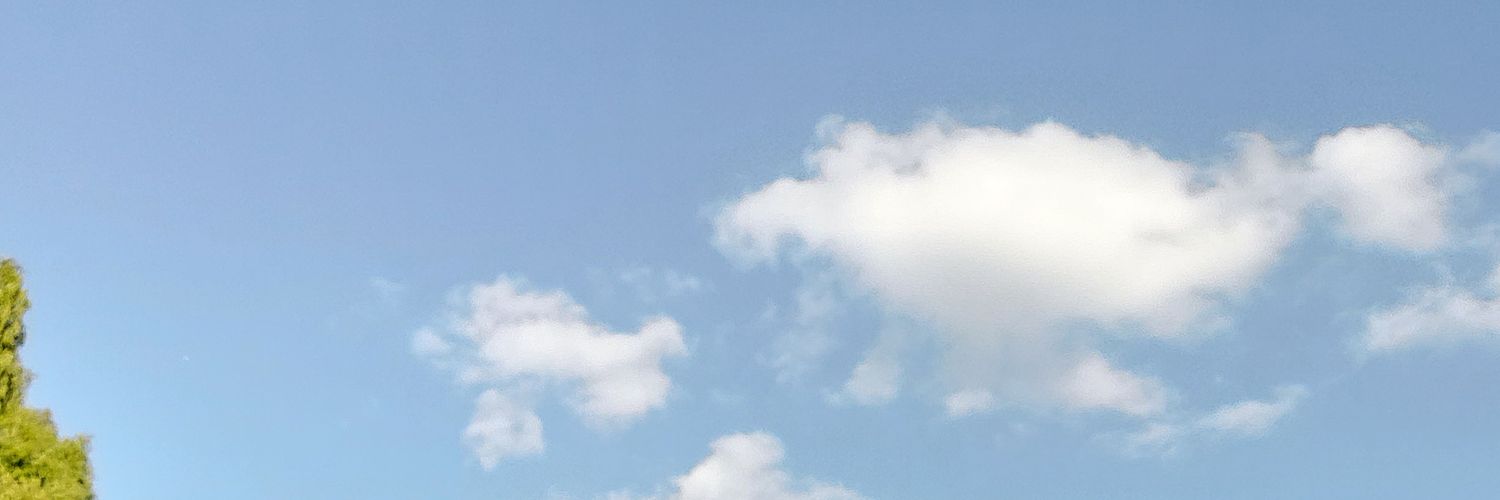EvaShukry's profile banner image