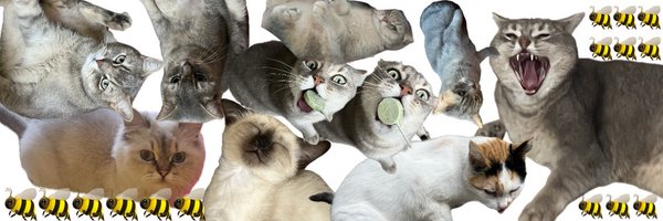 punpungodblessm Profile Banner