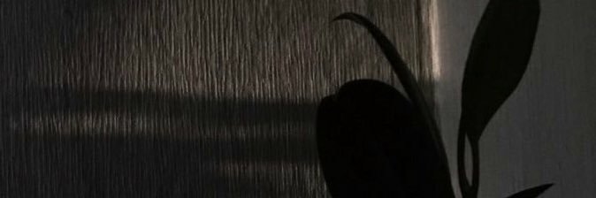 lluoszw's profile banner image