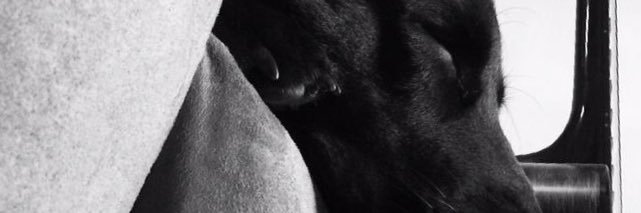 AndyJenningsd12's profile banner image