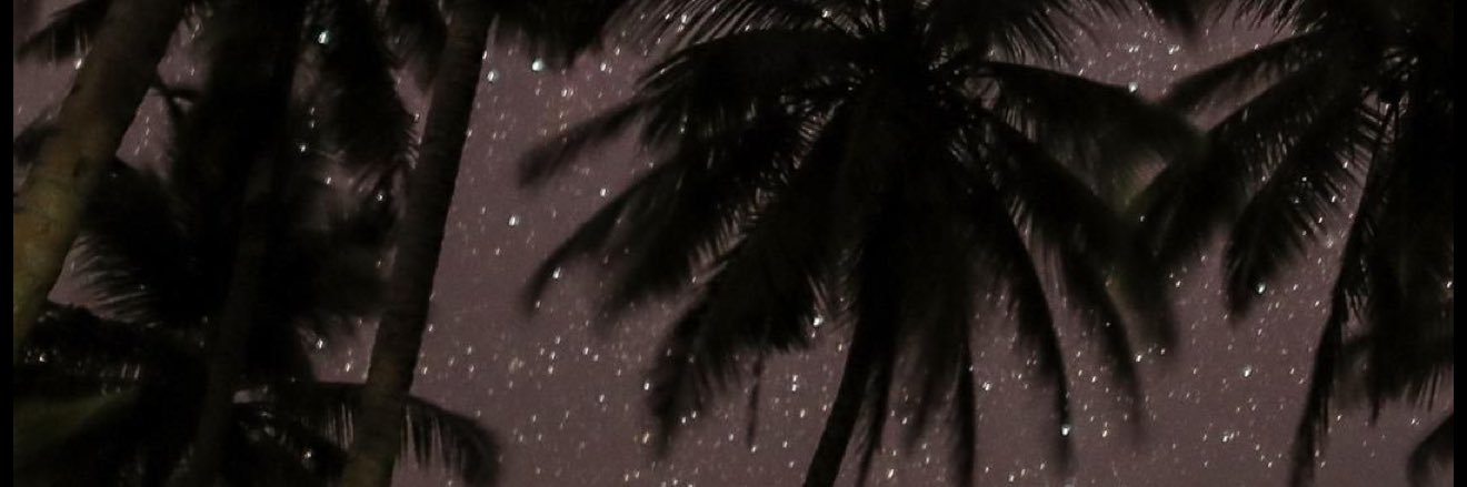 sivwoo's profile banner image