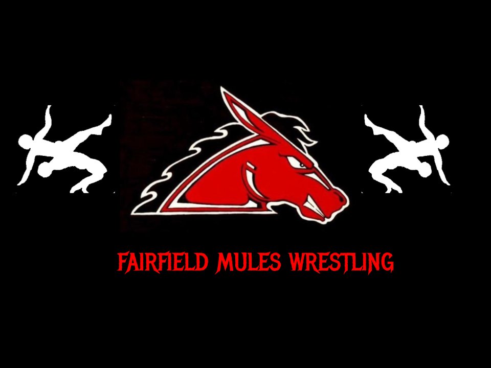 Fairfield Mules Wrestling banner