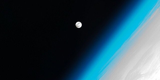 Brooke Nipar banner