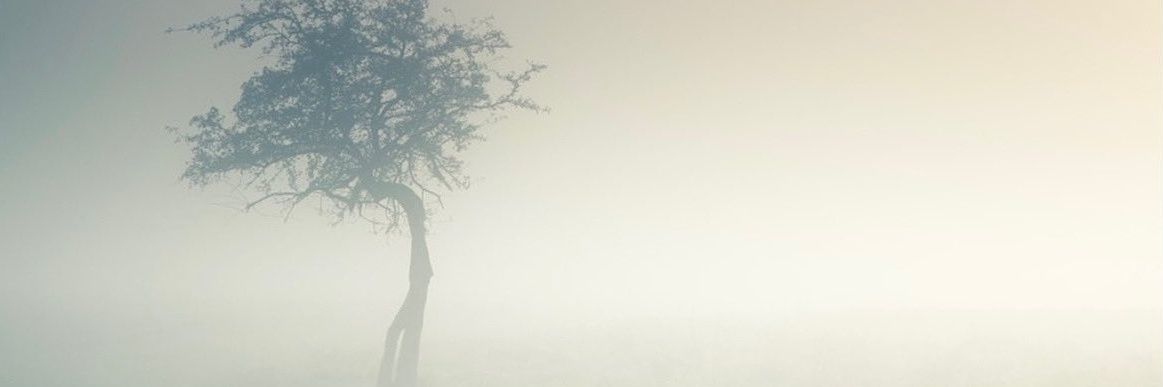 MHDR's banner