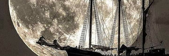 djvash's profile banner image