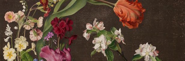 FAY |🧚🏻‍♂️ banner