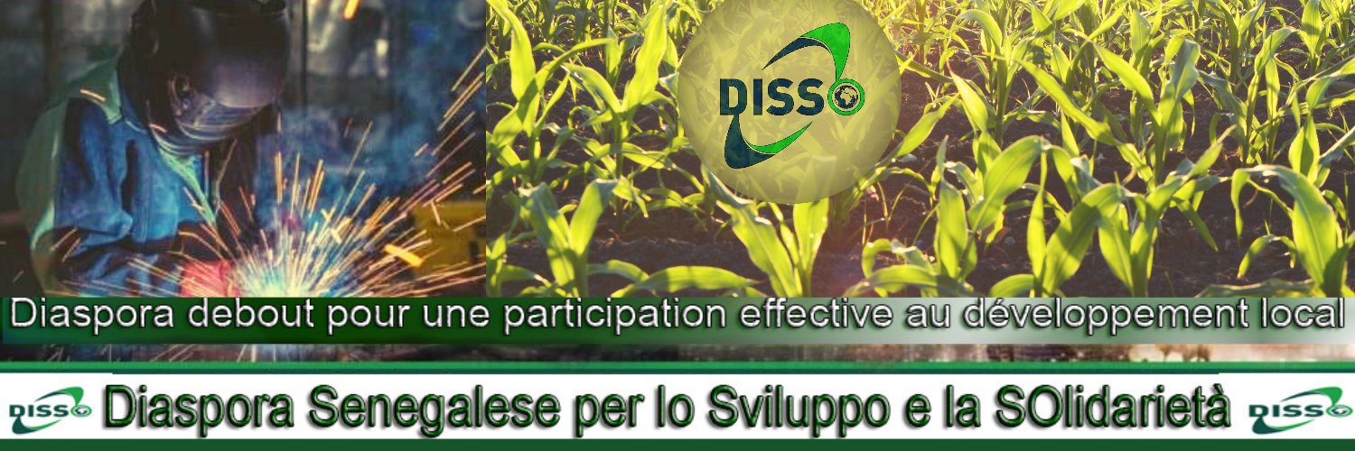 DissoAssos's profile banner image