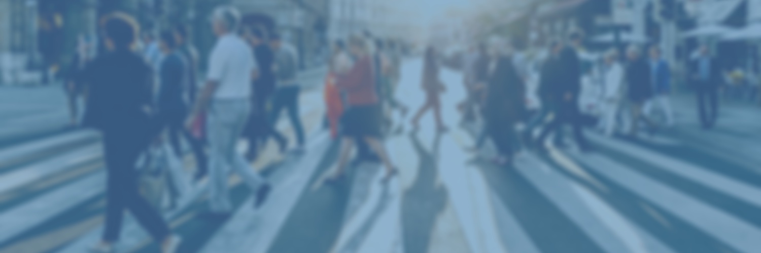 SchoolForSynodality banner