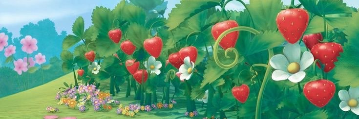 gummie banner
