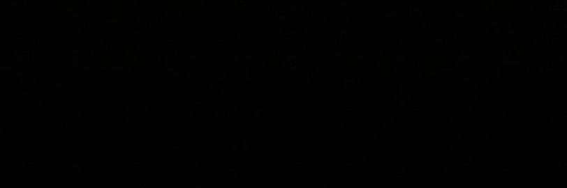 BootySmasher💢🍆 banner