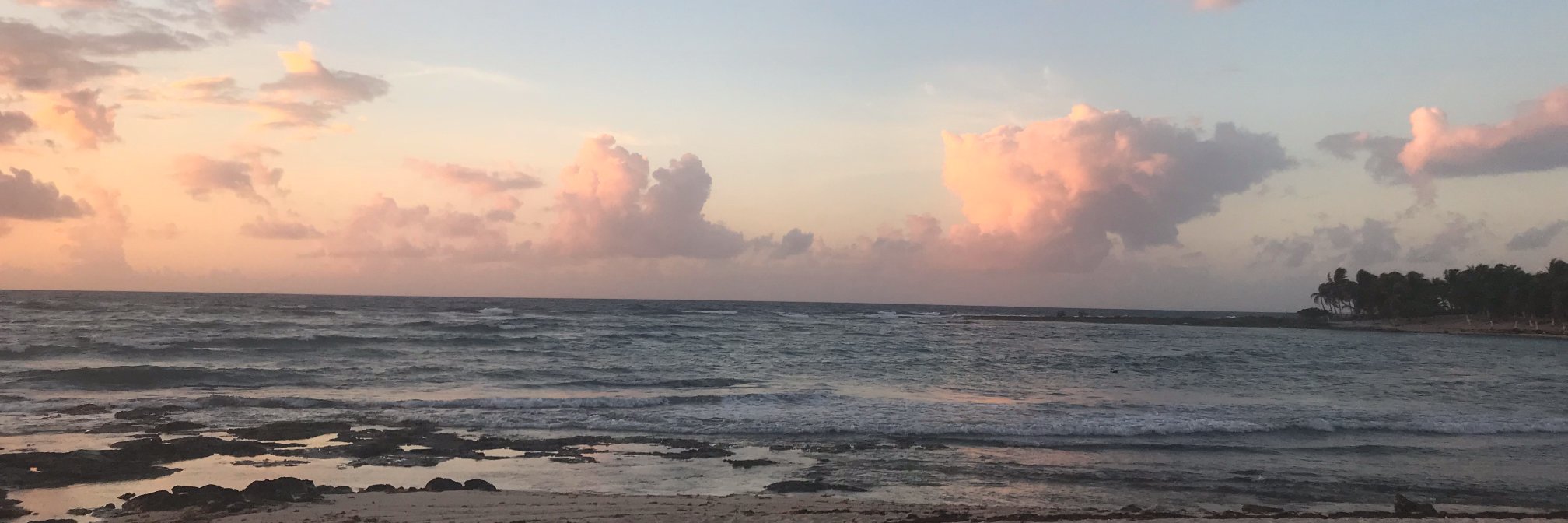 anthonyws's profile banner image