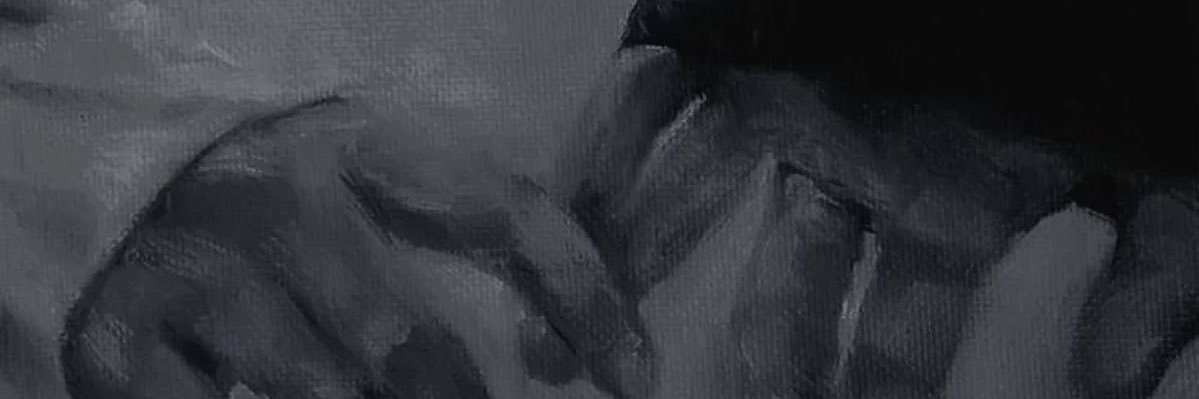 lili58n's profile banner image
