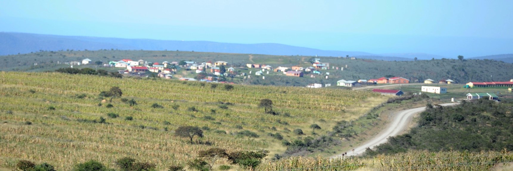 joannfloris's profile banner image