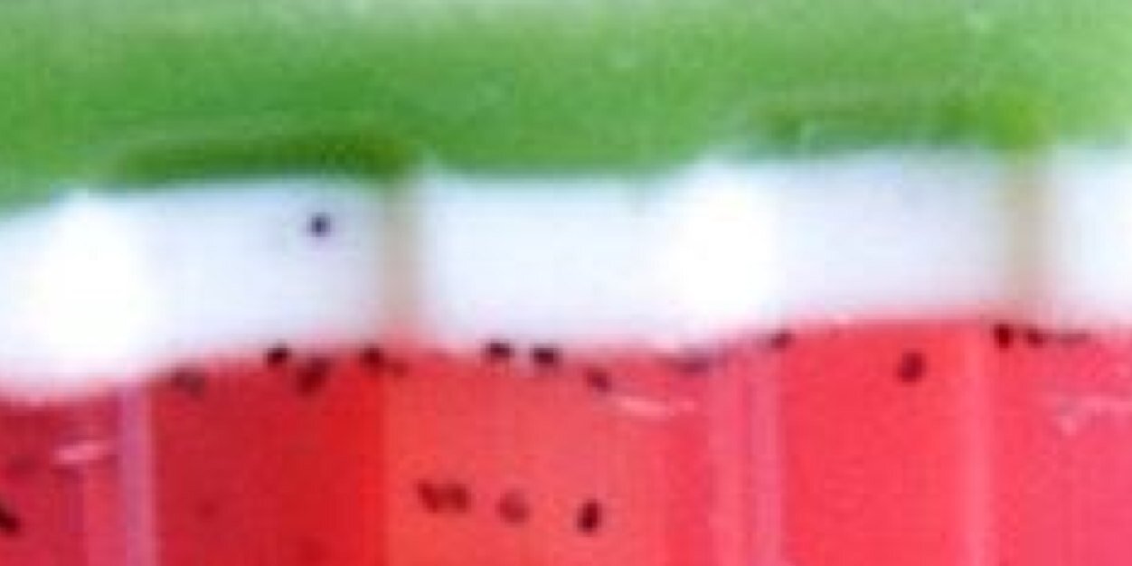 O_J_A_C's profile banner image