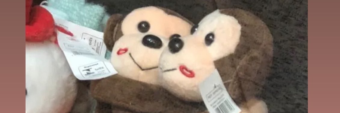 ceriig's profile banner image
